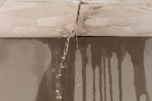 Professional Burst Pipe Cleanup technician working in Brookville, IN